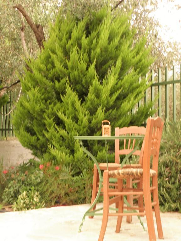 Kedro Ampoulos Rooms & Apartments מראה חיצוני תמונה