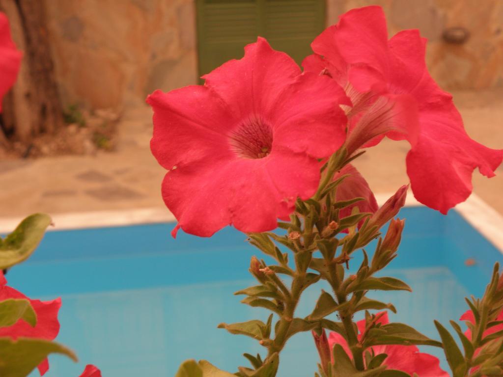Kedro Ampoulos Rooms & Apartments מראה חיצוני תמונה